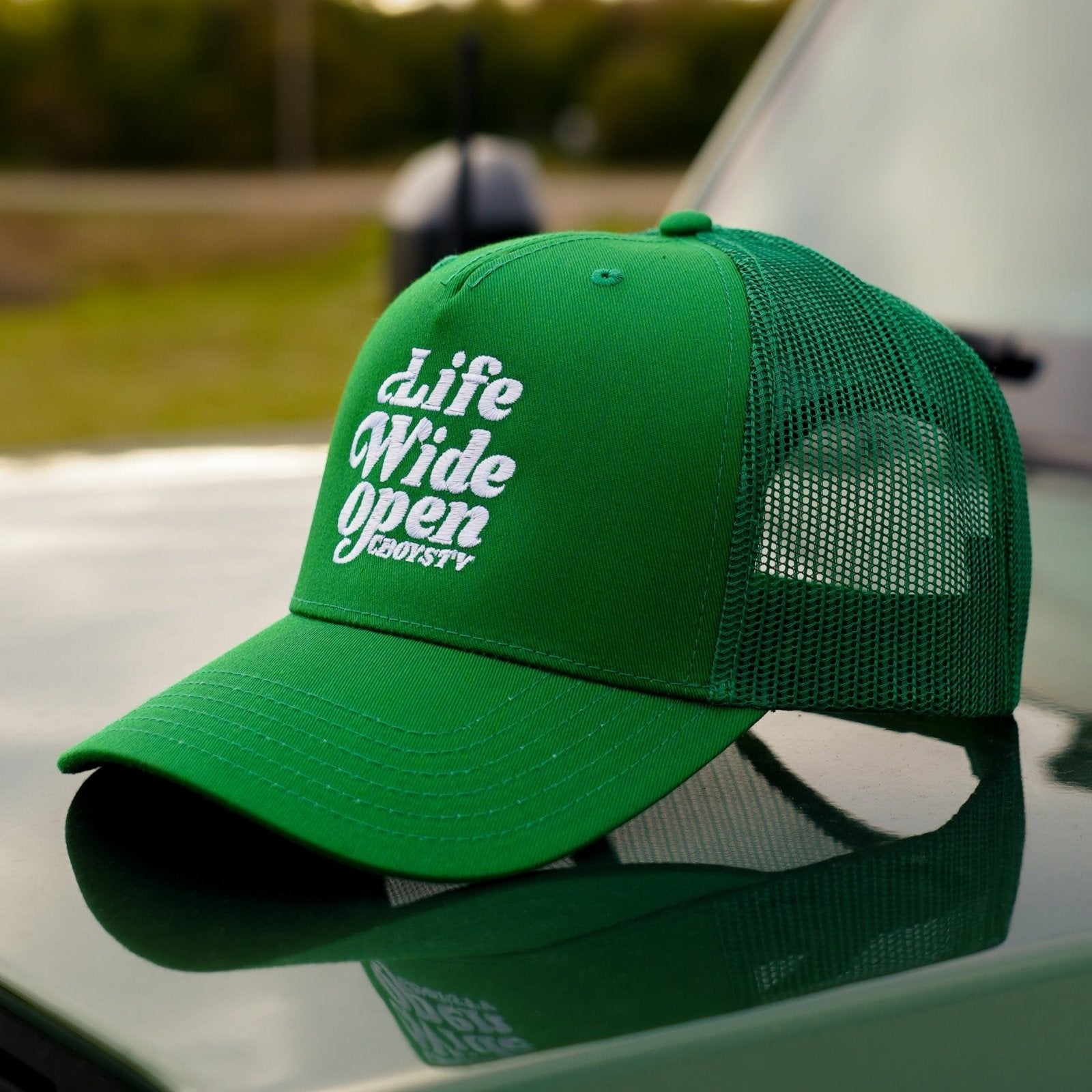 Have A Nice Day Green Snapback - Hat