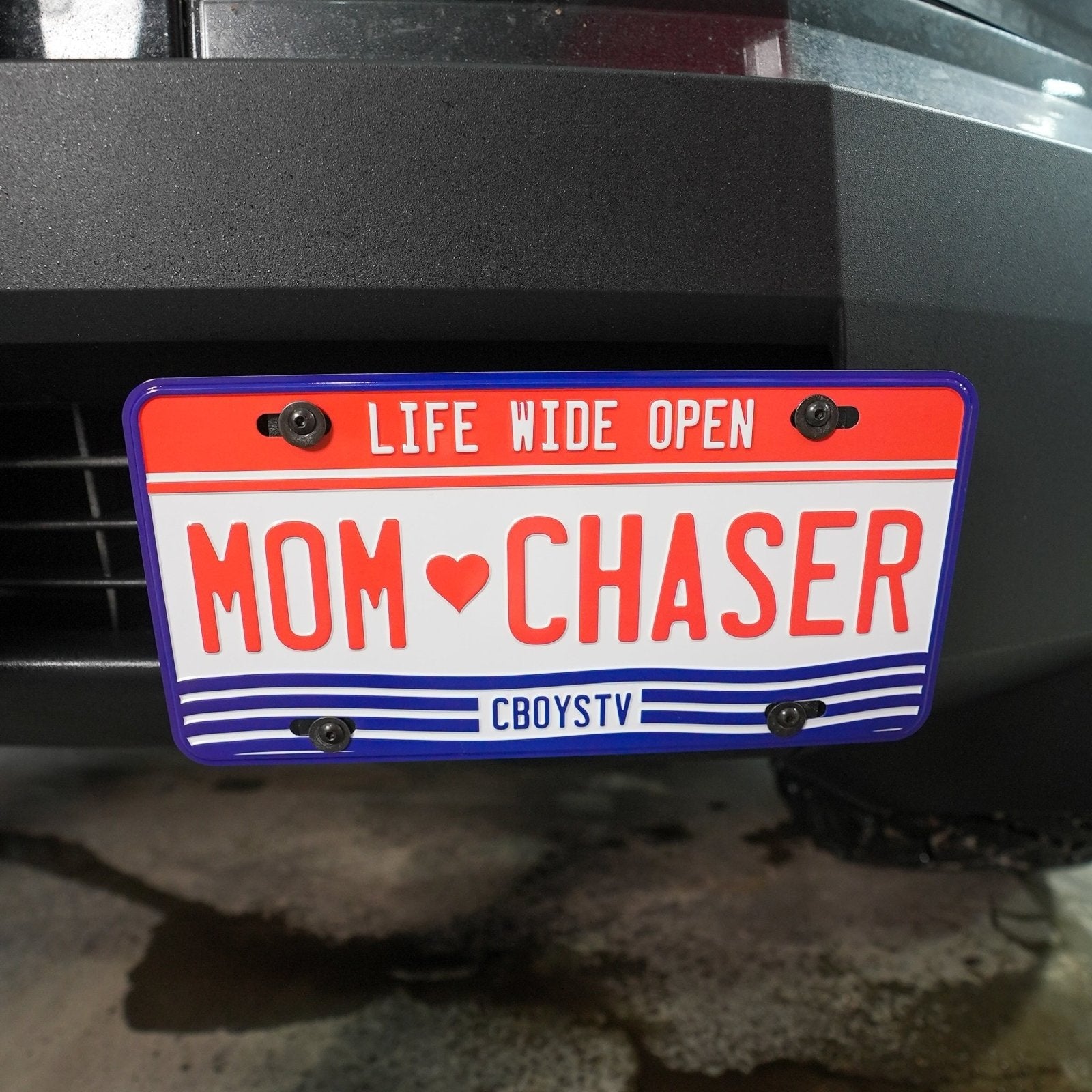 Mom Chaser License Plate